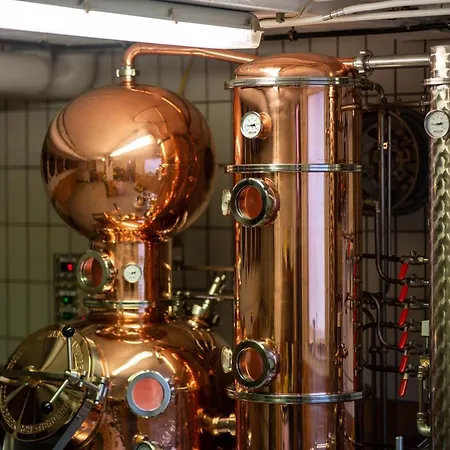 Hotel Gasthaus-pension Zum Kreuz Stuhlingen