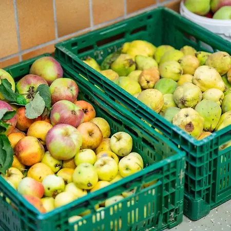 Gasthaus-pension Zum Kreuz Hotel Stuhlingen