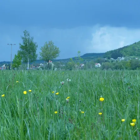 Gasthaus-pension Zum Kreuz